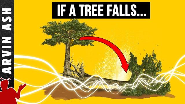 Embedded thumbnail for If a tree falls in a forest and no one is around to hear it, does it make a sound?