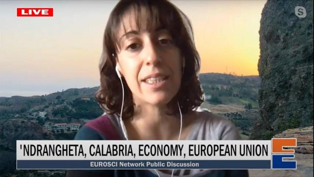 Embedded thumbnail for &amp;#039;Ndrangheta, Calabria, economy, European Union (with Anna Sergi)
